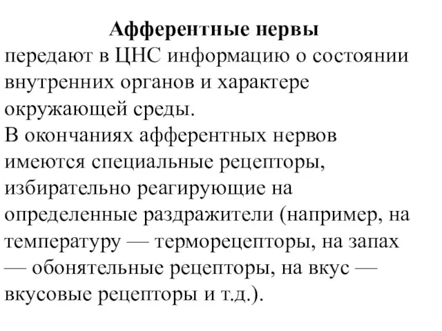 Афферентные нервы передают в ЦНС информацию о состоянии внутренних органов