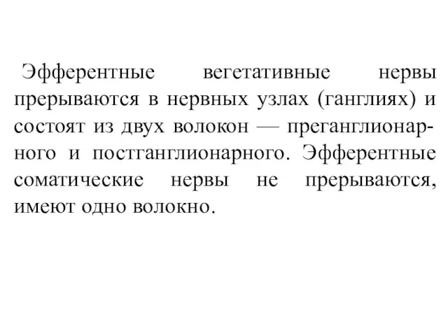 Эфферентные вегетативные нервы прерываются в нервных узлах (ганглиях) и состоят