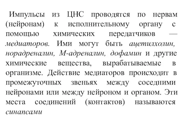 Импульсы из ЦНС проводятся по нервам (нейронам) к ис­полнительному органу