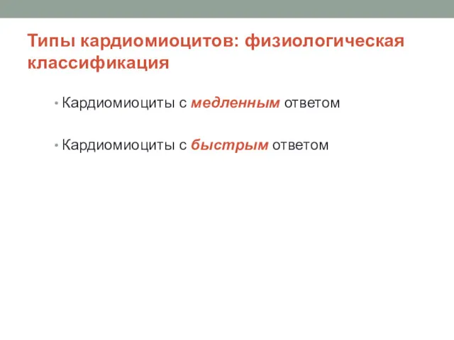 Типы кардиомиоцитов: физиологическая классификация Кардиомиоциты с медленным ответом Кардиомиоциты с быстрым ответом