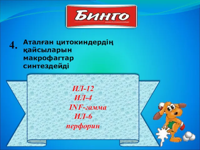 ИЛ-12 ИЛ-4 INF-гамма ИЛ-6 перфорин 4. Аталған цитокиндердің қайсыларын макрофагтар синтездейді