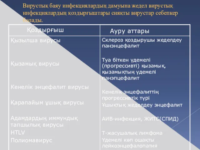 Вирустық баяу инфекциялардың дамуына жедел вирустық инфекциялардың қоздырғыштары сияқты вирустар себепкер болады.