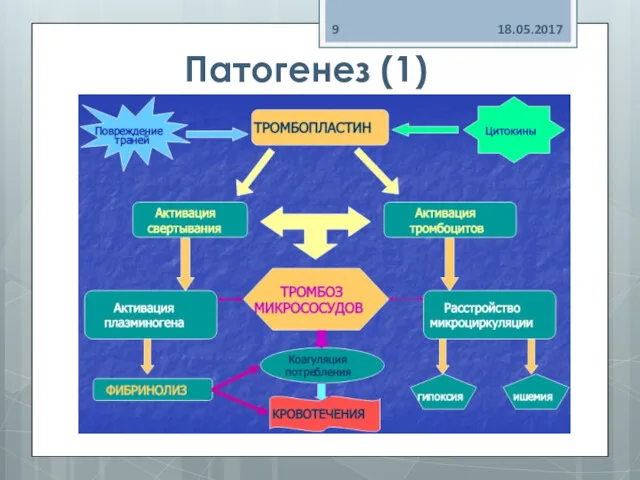 Патогенез (1) 18.05.2017