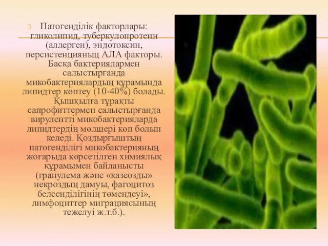 Патогенділік факторлары: гликолипид, туберкулопротеин (аллерген), эндотоксин, персистенцияньщ АЛА факторы. Басқа