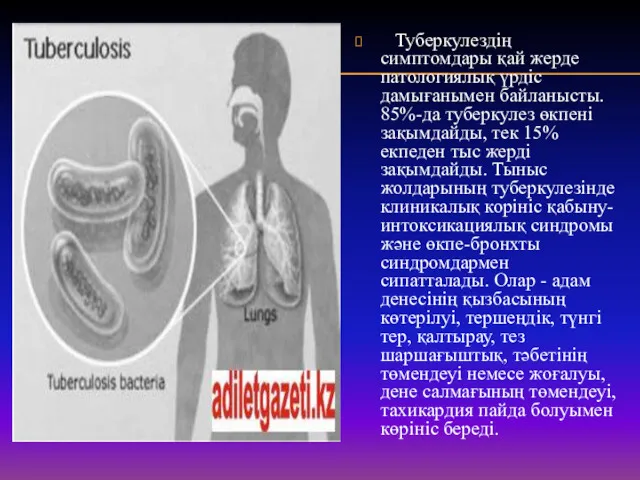 Туберкулездің симптомдары қай жерде патологиялық үрдіс дамығанымен байланысты. 85%-да туберкулез