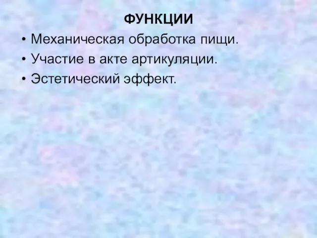 ФУНКЦИИ Механическая обработка пищи. Участие в акте артикуляции. Эстетический эффект.