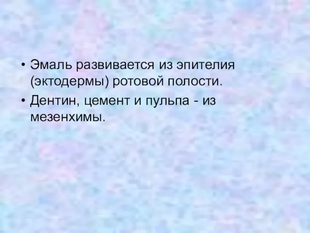 Эмаль развивается из эпителия (эктодермы) ротовой полости. Дентин, цемент и пульпа - из мезенхимы.