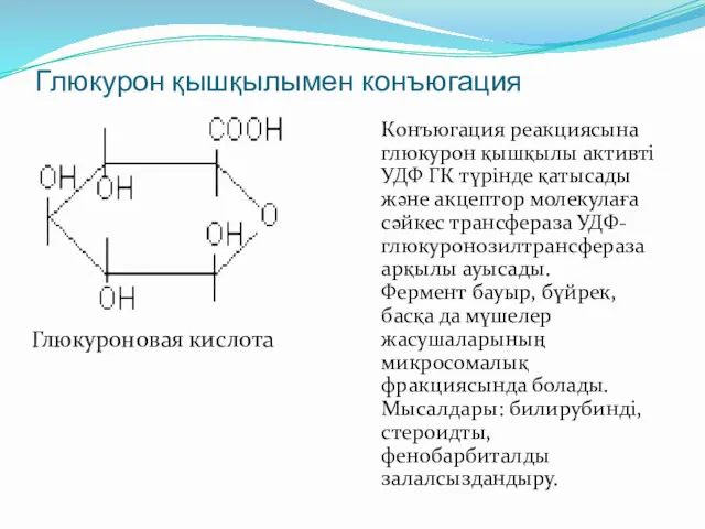 Глюкурон қышқылымен конъюгация Конъюгация реакциясына глюкурон қышқылы активті УДФ ГК