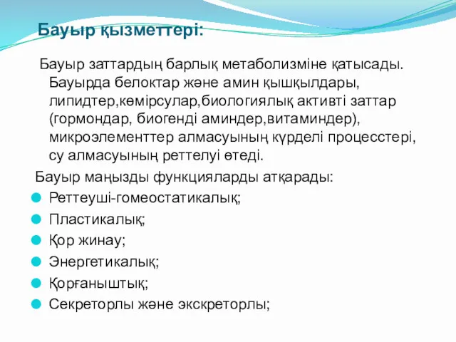 Бауыр қызметтері: Бауыр заттардың барлық метаболизміне қатысады.Бауырда белоктар және амин