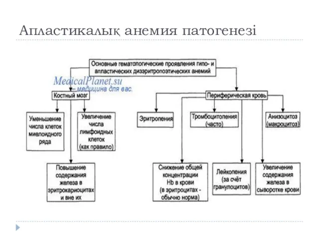 Апластикалық анемия патогенезі