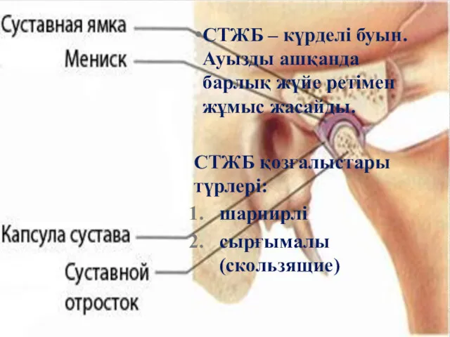 СТЖБ – күрделі буын. Ауызды ашқанда барлық жүйе ретімен жұмыс