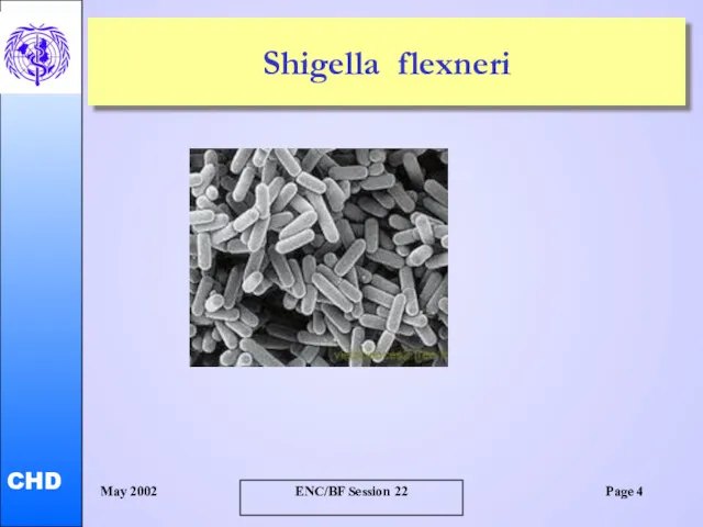 Shigella flexneri May 2002 ENC/BF Session 22 Page