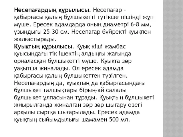 Несепағардың құрылысы. Несепағар – қабырғасы қалың бұлшықетті түтікше пішінді жұп