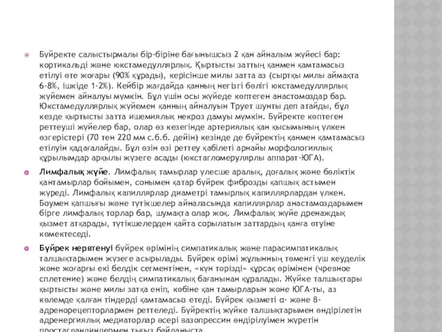 Бүйректе салыстырмалы бір-біріне бағынышсыз 2 қан айналым жүйесі бар: кортикальді