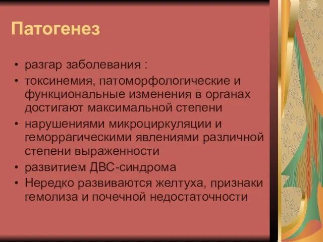 Патогенез разгар заболевания : токсинемия, патоморфологические и функциональные изменения в