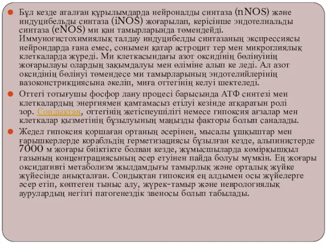 Бұл кезде аталған құрылымдарда нейроналды синтаза (nNOS) және индуцибельды синтаза