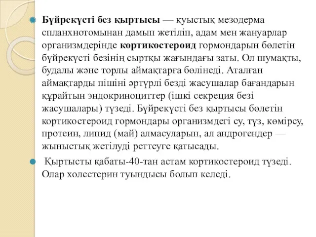 Бүйрекүсті без қыртысы — қуыстық мезодерма спланхнотомынан дамып жетіліп, адам