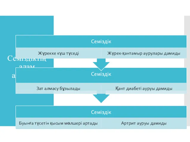 Семіздіктің адам ағзасына әсері