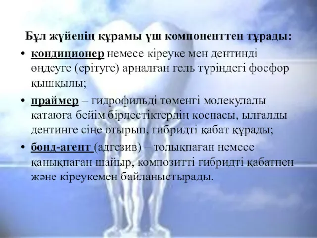 Бұл жүйенің құрамы үш компоненттен тұрады: кондиционер немесе кіреуке мен