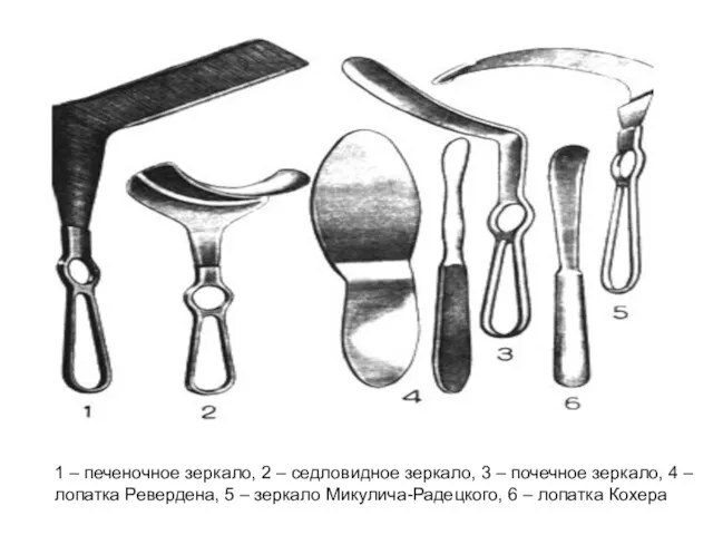 1 – печеночное зеркало, 2 – седловидное зеркало, 3 –