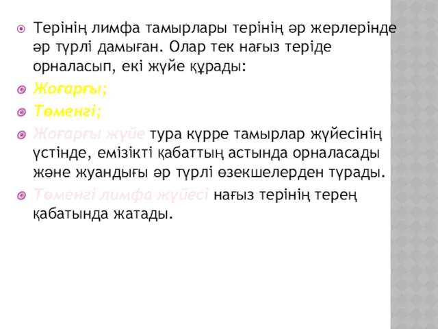 Терінің лимфа тамырлары терінің әр жерлерінде әр түрлі дамыған. Олар