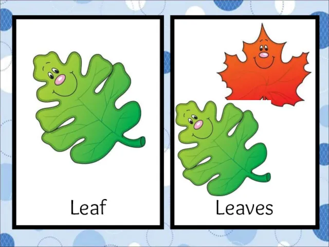 Leaves Leaf