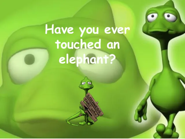 Have you ever touched an elephant?