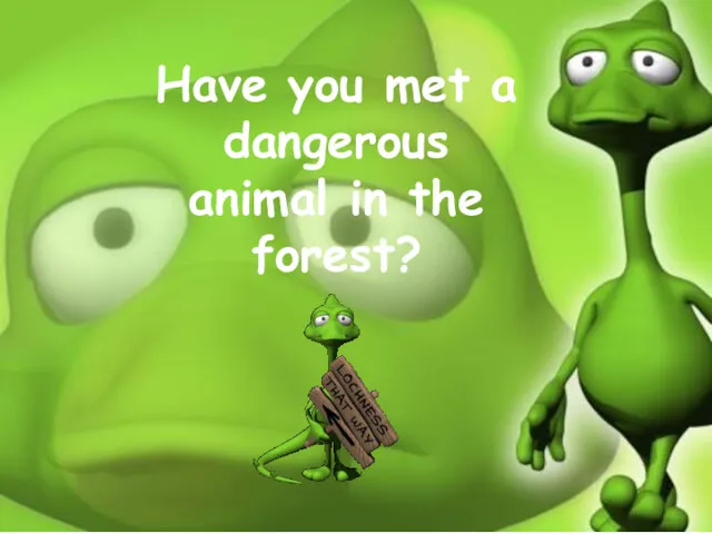 Have you met a dangerous animal in the forest?