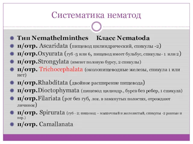 Систематика нематод Тип Nemathelminthes Класс Nematoda п/отр. Ascaridata (пищевод цилиндрический,