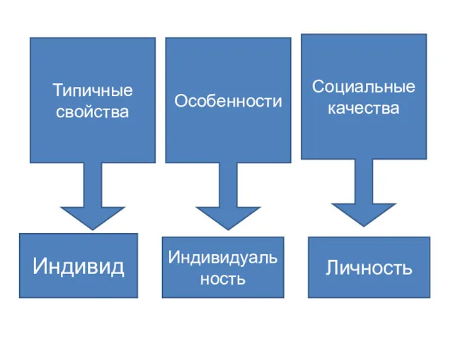 Типичные свойства Особенности Социальные качества Индивид Индивидуаль ность Личность