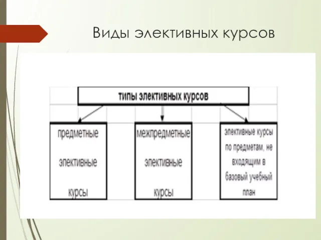 Виды элективных курсов Рис.1