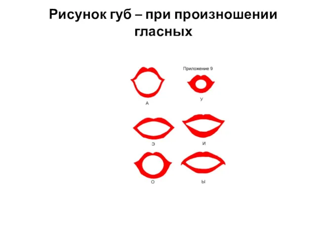 Рисунок губ – при произношении гласных