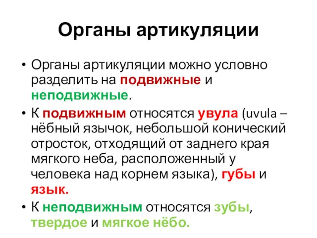 Органы артикуляции Органы артикуляции можно условно разделить на подвижные и