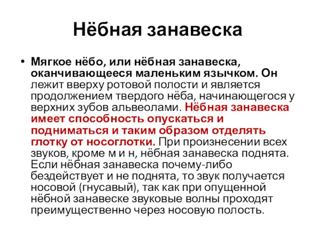 Нёбная занавеска Мягкое нёбо, или нёбная занавеска, оканчивающееся маленьким язычком.