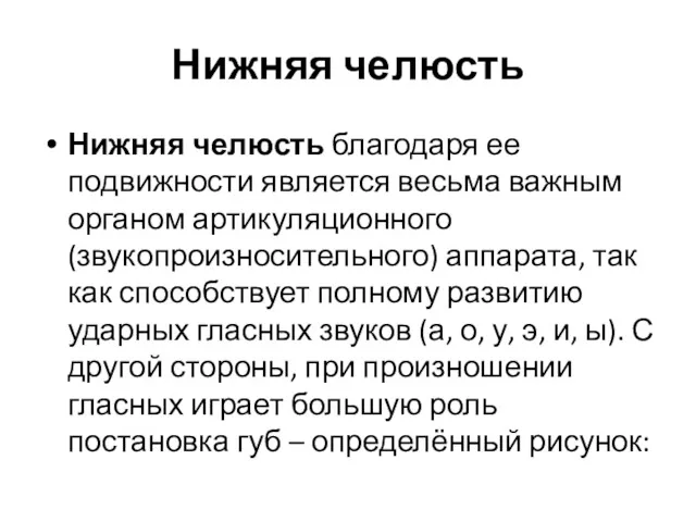 Нижняя челюсть Нижняя челюсть благодаря ее подвижности является весьма важным