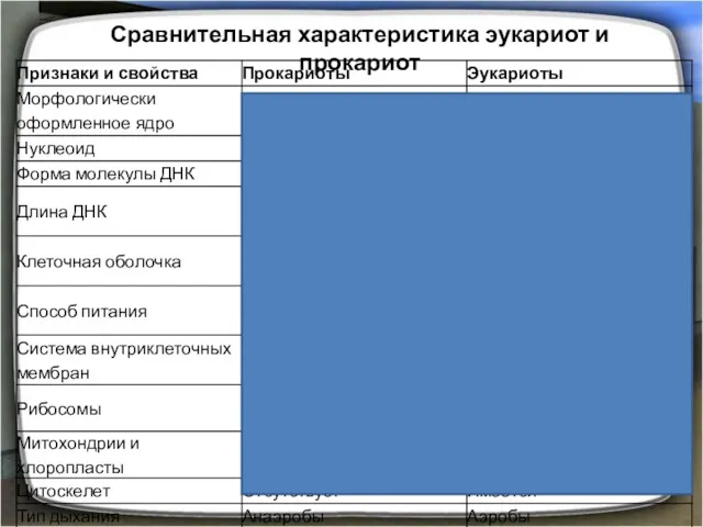 Сравнительная характеристика эукариот и прокариот