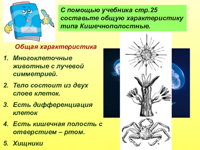 С помощью учебника стр.25 составьте общую характеристику типа Кишечнополостные. Общая