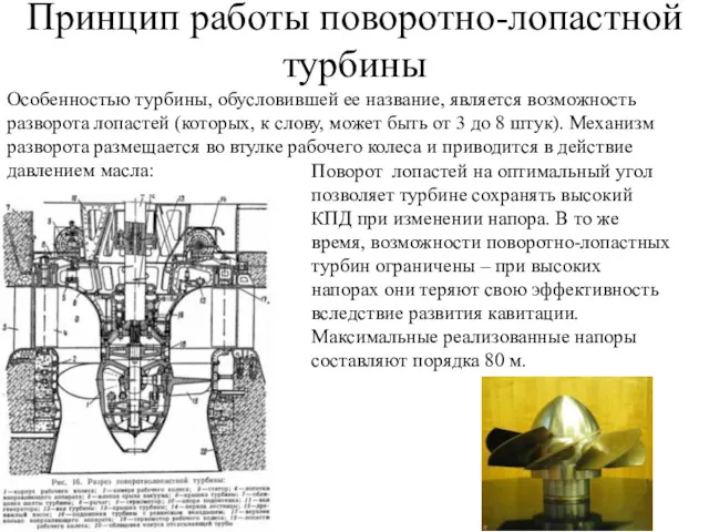 Принцип работы поворотно-лопастной турбины Особенностью турбины, обусловившей ее название, является