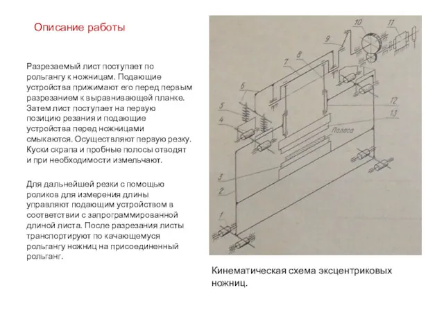 Разрезаемый лист поступает по рольгангу к ножницам. Подающие устройства прижимают