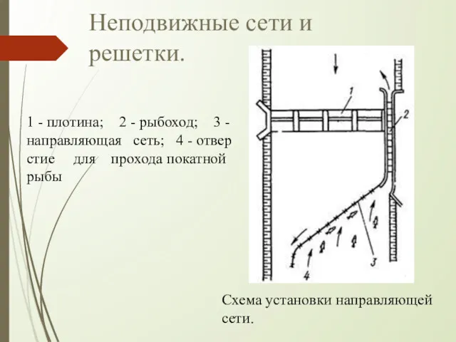 Неподвижные сети и решетки. 1 - плотина; 2 - рыбоход;