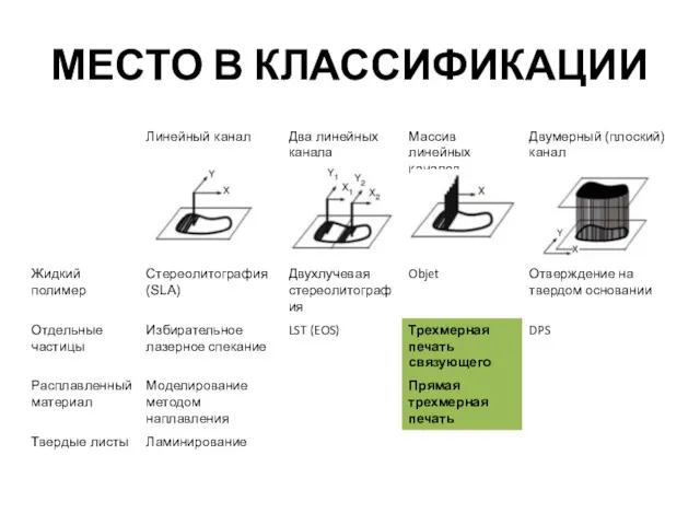 МЕСТО В КЛАССИФИКАЦИИ