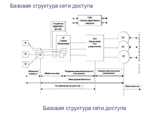 Базовая структура сети доступа Базовая структура сети доступа