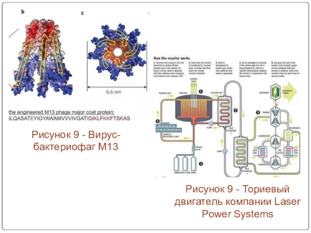 Рисунок 9 - Вирус-бактериофаг М13 Рисунок 9 - Ториевый двигатель компании Laser Power Systems