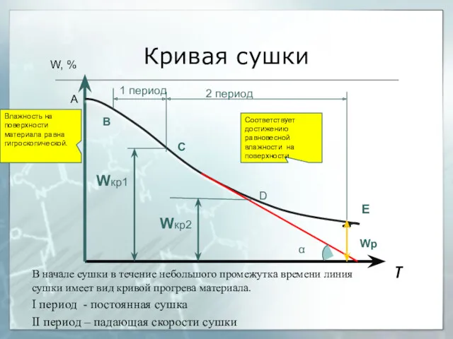 Кривая сушки В начале сушки в течение небольшого промежутка времени