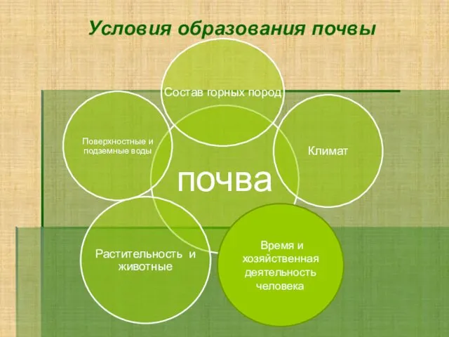 Условия образования почвы Время и хозяйственная деятельность человека