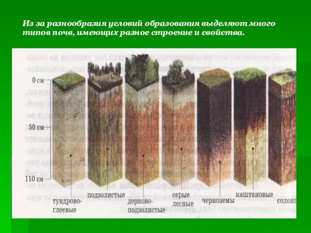 Из за разнообразия условий образования выделяют много типов почв, имеющих разное строение и свойства.