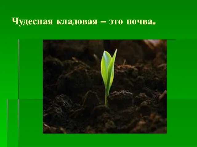 Чудесная кладовая – это почва.