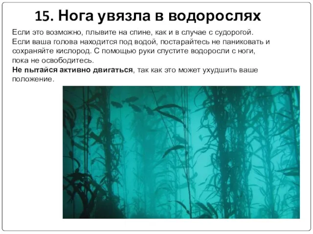 15. Нога увязла в водорослях Если это возможно, плывите на