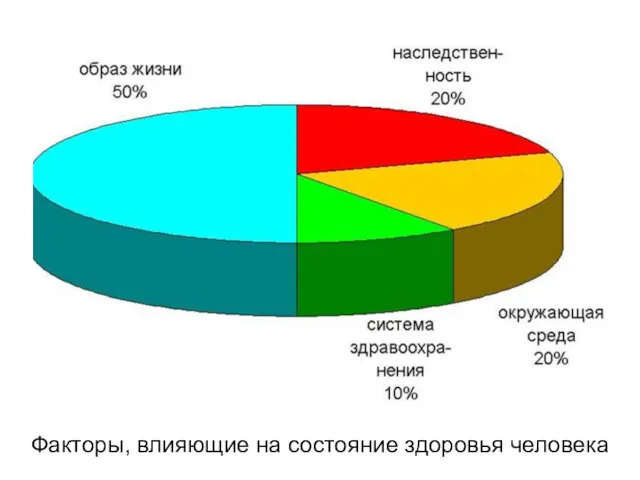 Факторы, влияющие на состояние здоровья человека