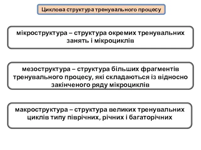 Циклова структура тренувального процесу мезоструктура – структура більших фрагментів тренувального